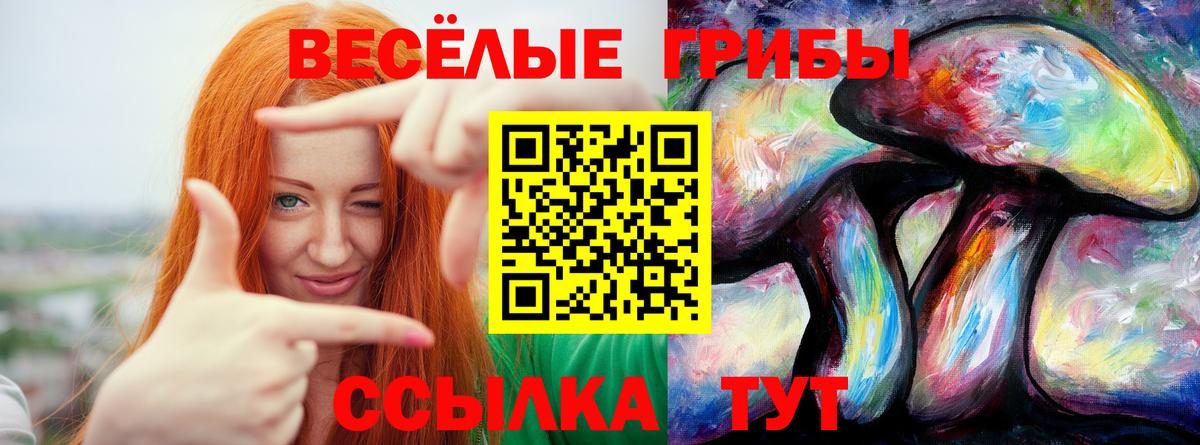 Усть-Илимск  Галлюциногенные грибы Psilocybine cubensis  Вход с VPN 